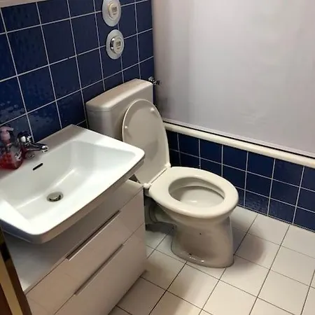 Apartment Schwarzwald Mit Terasse *