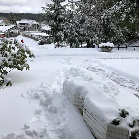 Schwarzwald Mit Terasse *