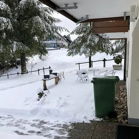 Apartment Schwarzwald Mit Terasse Schoenwald im Schwarzwald