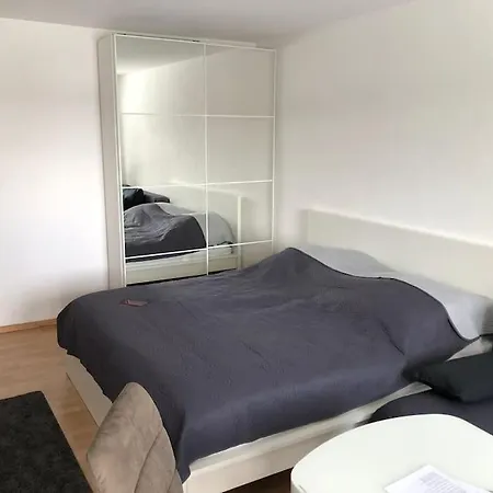 Apartment Schwarzwald Mit Terasse